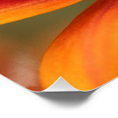 Ultra Macro Honeybee Close Up Photorealistic ポスター (コーナー)