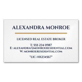 Ultra-Modern Real Estate Business Card Magnet マグネット名刺