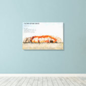 Uluru, Ayers Rock キャンバスプリント (インサイチュ (ウッドフロア))