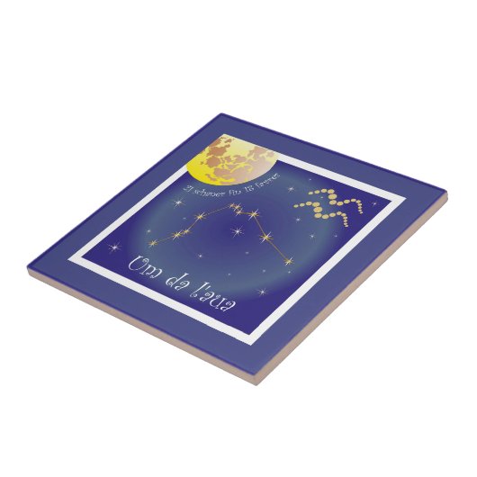 Um da l'aua 21 schaner fin 18 favrer Fotofliese タイル (側面)