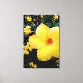 Uma alamanda キャンバスプリント (正面)