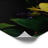 Uma alamanda ポスター (角)