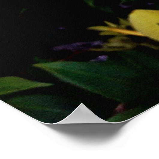 Uma alamanda ポスター (角)