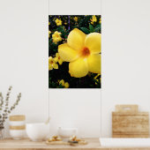 Uma alamanda ポスター (キッチン)