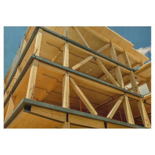 UMass Olverのデザインの建物 ウッドポスター (正面)