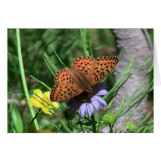 Umatillaオレゴンの昆虫/クモ綱の虫の動物群