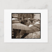 Umbrella ポストカード (正面)