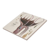 Umbrella Squid, Vintage Marine Life Animals タイル (側面)