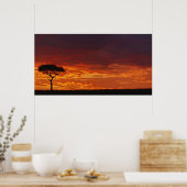 Umbrella Thorn Acacia, Acacia tortilis, 2 ポスター (キッチン)