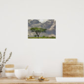 Umbrella Thorn Acacia, Acacia tortilis, and 2 ポスター (キッチン)