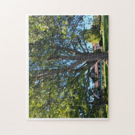 Umbrella Tree ジグソーパズル