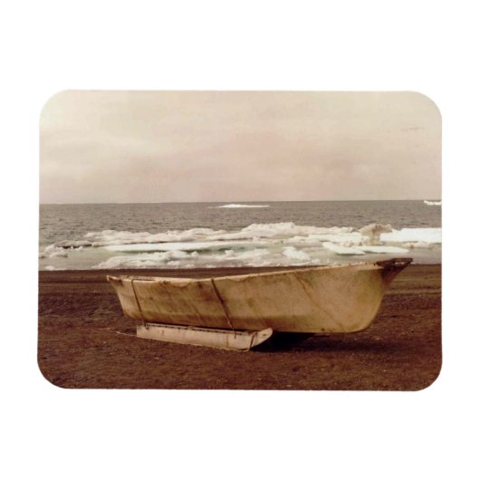 Umiak Walrus Skin Whalersボートフォトプリントフレックス マグネット (横)