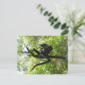 Umlaufの彫刻の庭、オースティンテキサス州 ポストカード (スタンド正面)