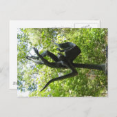 Umlaufの彫刻の庭、オースティンテキサス州 ポストカード (正面/裏面)