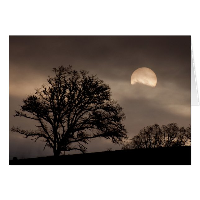 Umpquaの谷の日の出 (正面横)