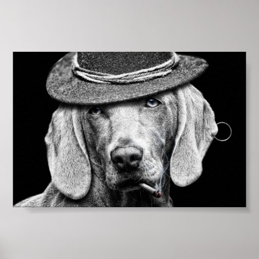 Un chien chic dans un chapeau punk. ポスター (正面)