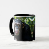 Un chimpanzé te fixe droit dans les yeux. マグカップ (正面左)