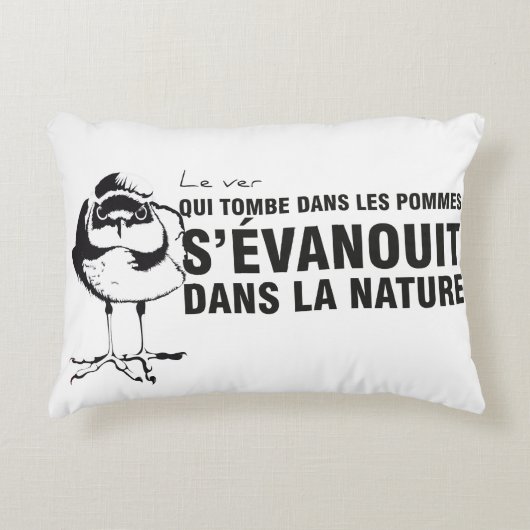 Un coussin à double sens pour amuser l'intérieur アクセントクッション (正面)
