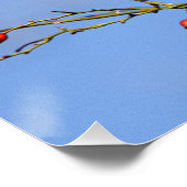 Un écureuil roux (squirrel) ポスター (コーナー)