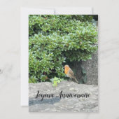 Un petit rouge-gorge (正面)