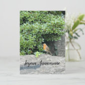 Un petit rouge-gorge (スタンド正面)