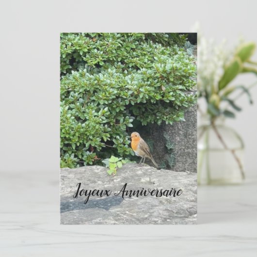 Un petit rouge-gorge (スタンド正面)