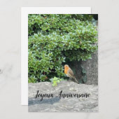 Un petit rouge-gorge (正面/裏面)