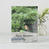 Un petit rouge-gorge (スタンド正面)