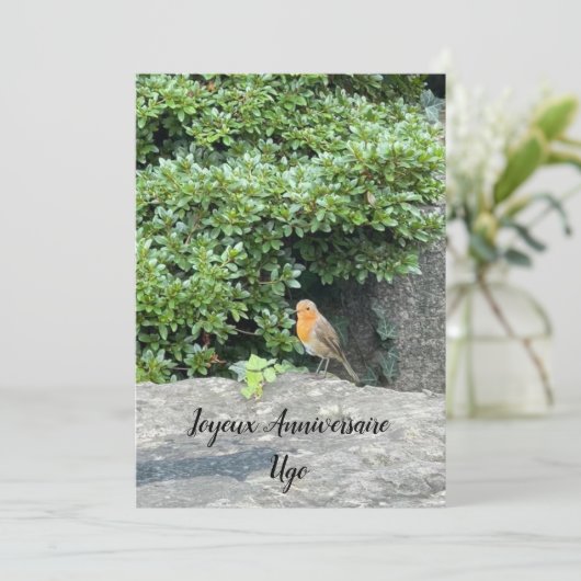 Un petit rouge-gorge (スタンド正面)