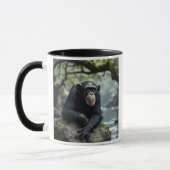 Un singe chimpanzé au repos sur un rocher. マグカップ (左)