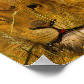 Una and the Lion, 1860 by William Bell Scott ポスター (角)