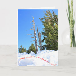 Una escena de invierno para la Navidad.エスパニョル。2 シーズンカード