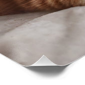 Unconditional Love ポスター (コーナー)