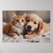 Unconditional Love ポスター (正面)