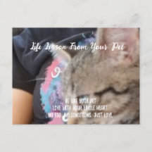 Unconditional Love Life Lesson from the Pet 