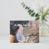 Unconditional Love Life Lesson from the Pet  シーズンポストカード (スタンド正面)