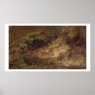 Undergrowth, c.1821 (oil on paper on board) ポスター