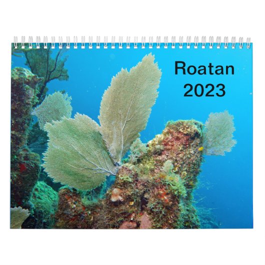 Underwater Calendar -- Roatan, Honduras カレンダー (カバー)