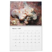 Underwater Calendar -- Roatan, Honduras カレンダー (2月 2027)