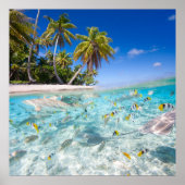 Underwater life ポスター (正面)