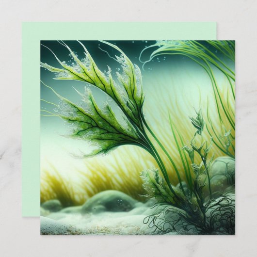 Underwater Majesty シーズンカード (正面/裏面)