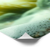 Underwater Majesty ポスター (コーナー)