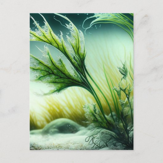 Underwater Majesty ポストカード (正面)