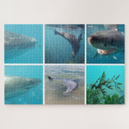 Underwater Ocean Life Animals, 1014 pieces ジグソーパズル