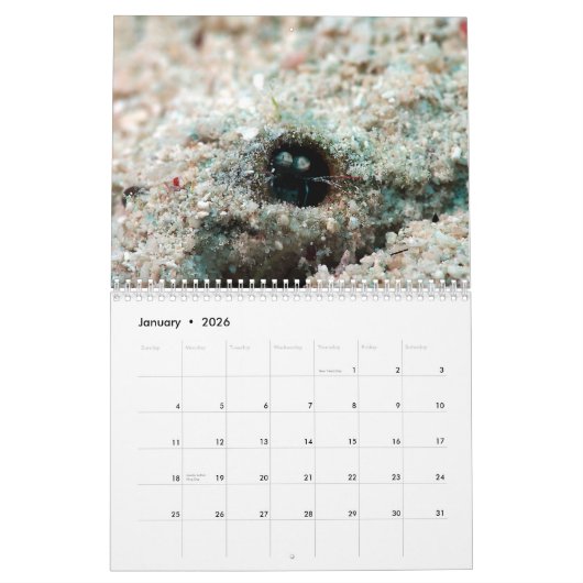 Underwater of Siquijor S- L size カレンダー (1月 2026)