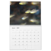 Underwater of Siquijor S- L size カレンダー (3月 2027)