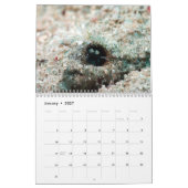 Underwater of Siquijor S- L size カレンダー (1月 2027)