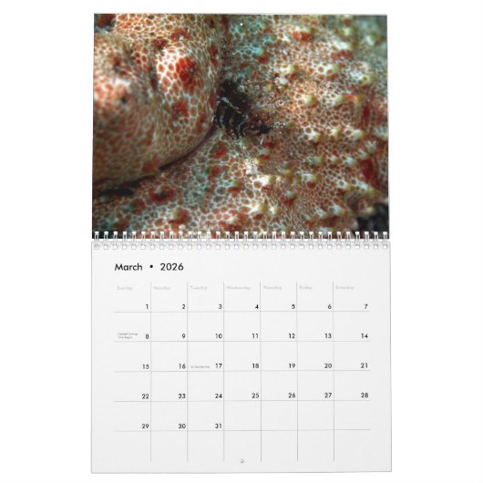 Underwater of Siquijor S- L size カレンダー (3月 2026)