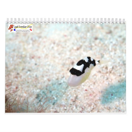 Underwater of Siquijor S- L size カレンダー (カバー)