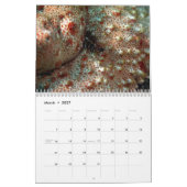 Underwater of Siquijor S- L size カレンダー (3月 2027)